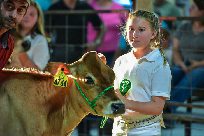 Orangeburg County Fair Dairy Show
